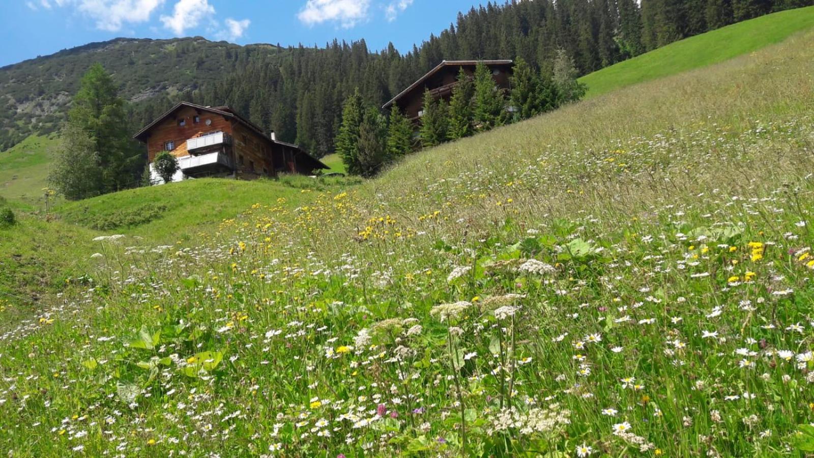 Warth Haus Sonnenschein公寓 外观 照片